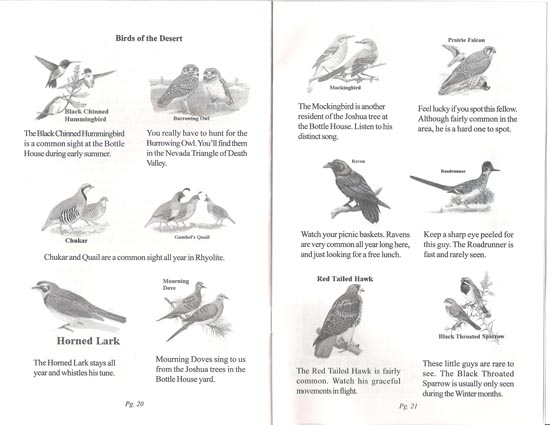 2002 road trip vacation to California